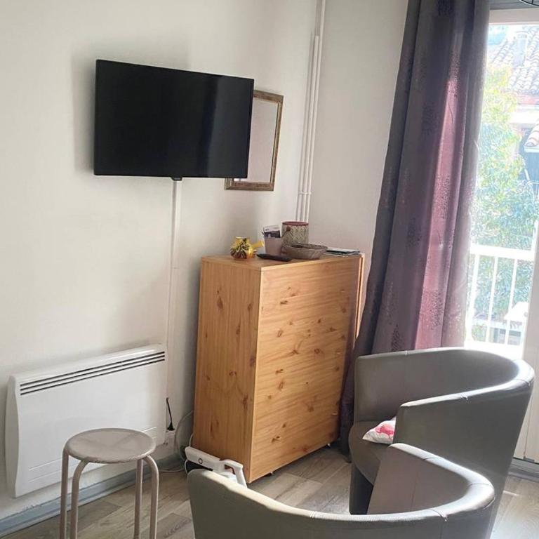Studio ensoleillé en centre-ville, animaux admis - Studio - 5