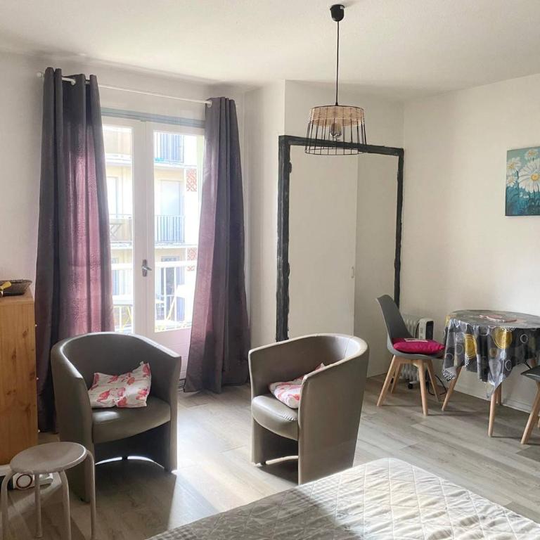 Studio ensoleillé en centre-ville, animaux admis - Studio - 6