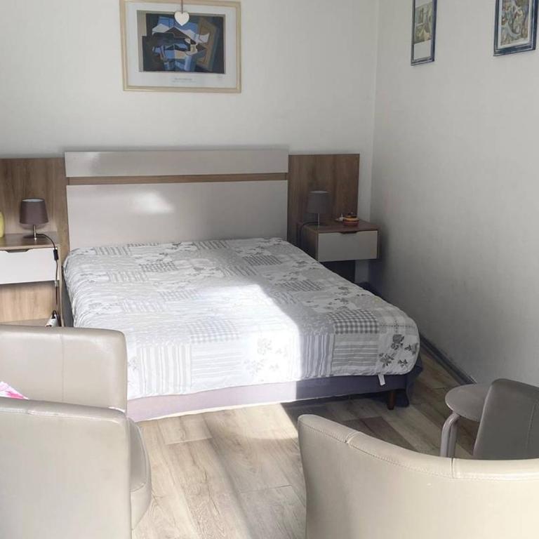 Studio ensoleillé en centre-ville, animaux admis - Studio - 7