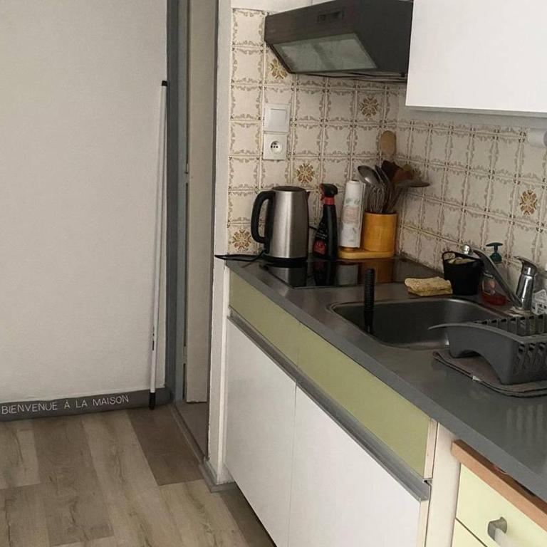 Studio ensoleillé en centre-ville, animaux admis - Studio - 8