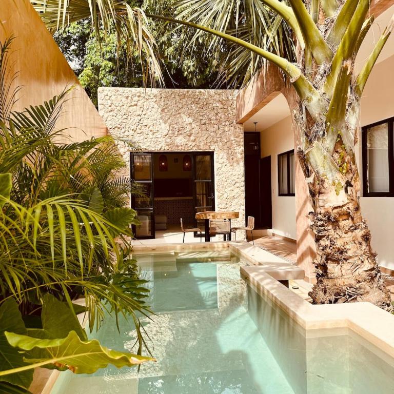 Casa Ámbar, tu casa en Mérida - Five-Bedroom House - 18