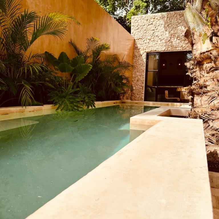 Casa Ámbar, tu casa en Mérida - Five-Bedroom House - 64