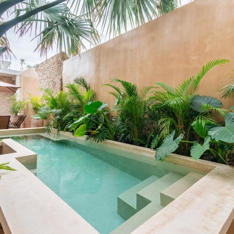 Casa Ámbar, tu casa en Mérida - Five-Bedroom House - 63