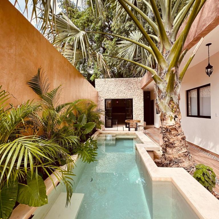 Casa Ámbar, tu casa en Mérida - Five-Bedroom House - 68