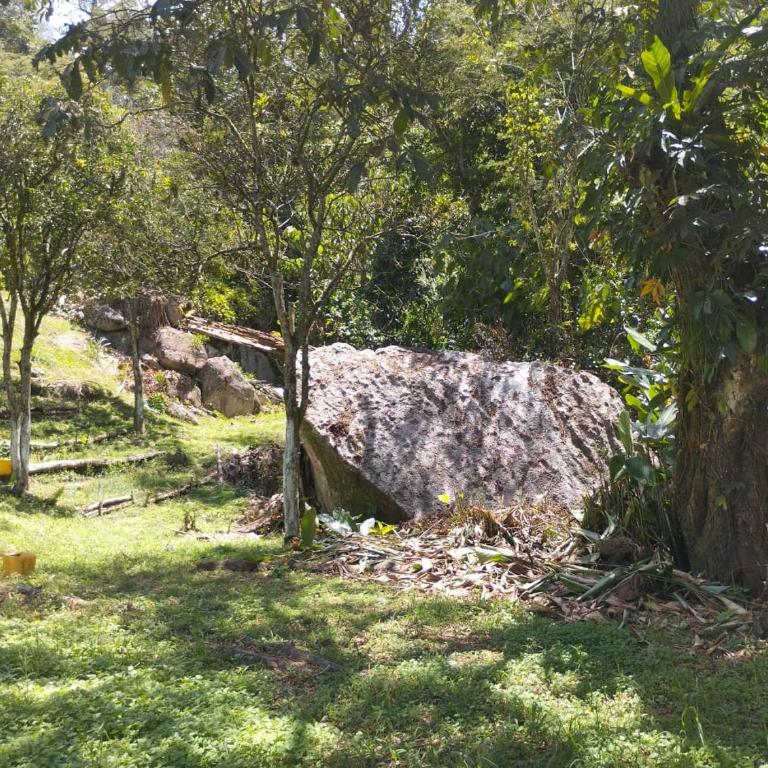 ENTRE LOMAS GLAMPING - Finca el Reposo - Casa de 7 dormitorios - 9