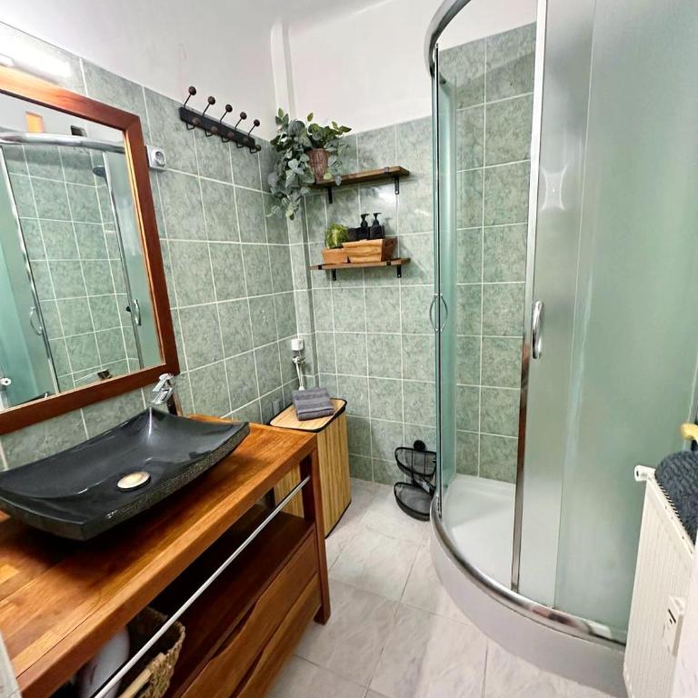 Antibes centre-ville, 2 bedrooms 6 pers, Climatisation - Appartement 2 Chambres - 9