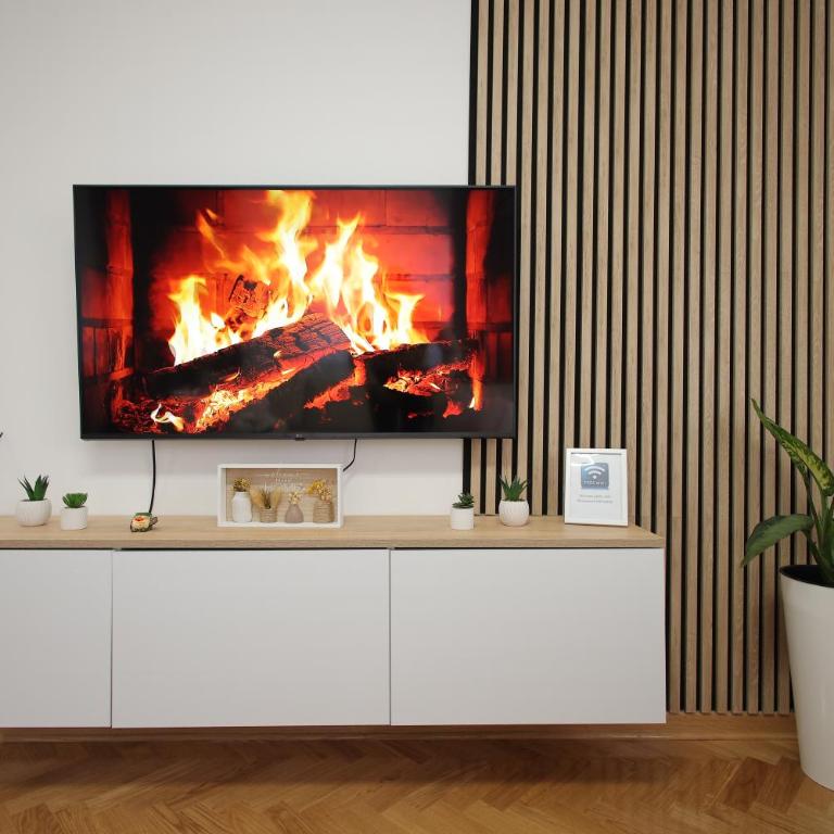 Apartman Babić Lux - One-Bedroom Apartment - 5