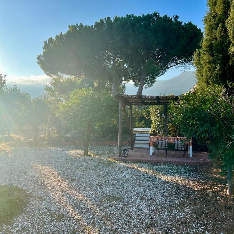 Casa Pipa Alhaurín el Grande - vrijstaande casita met privé zwembad en grote tuin - Casa con 1 dormitorio - 16
