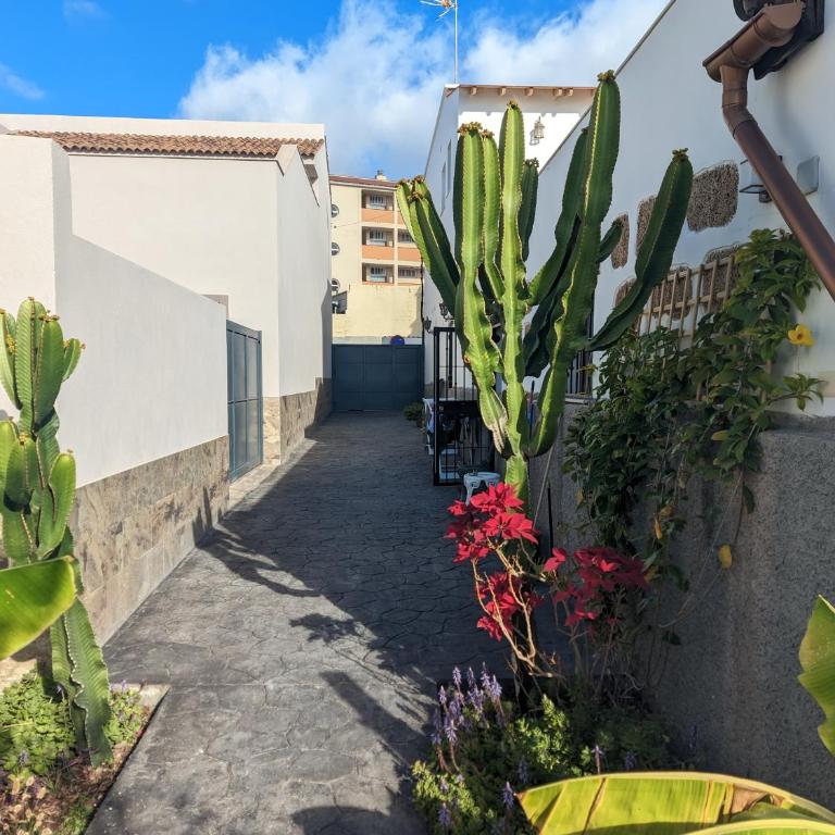 Casa Roberta Fuego - One-Bedroom Apartment - 15