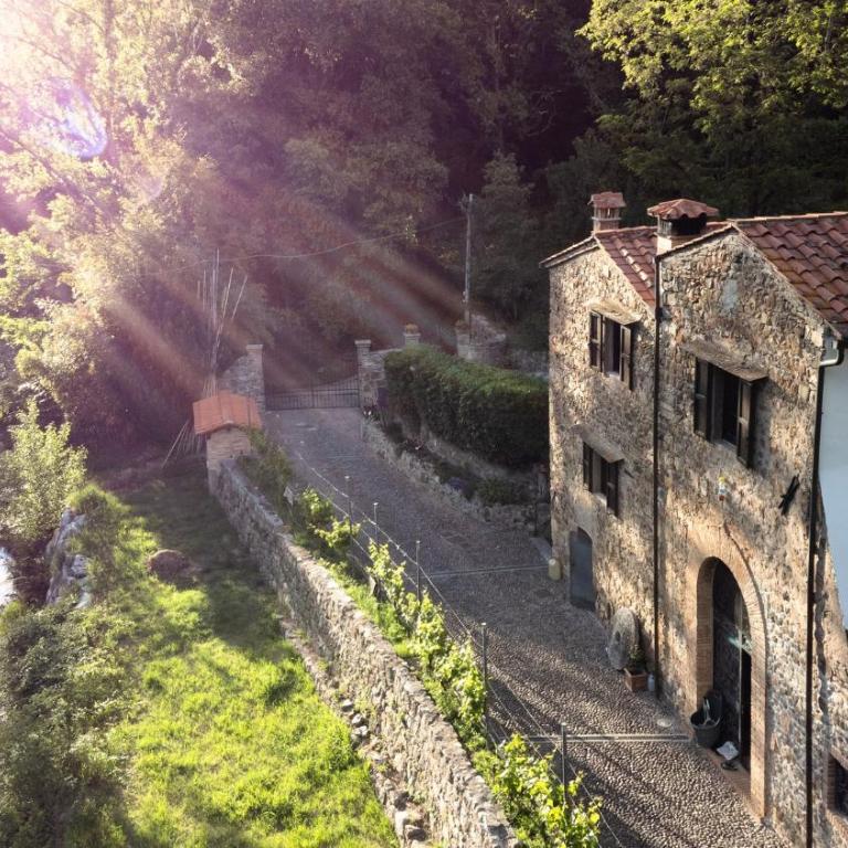 Ex water mill Le Ferriere old stone house 15th century - Appartamento con 2 Camere da Letto - 20