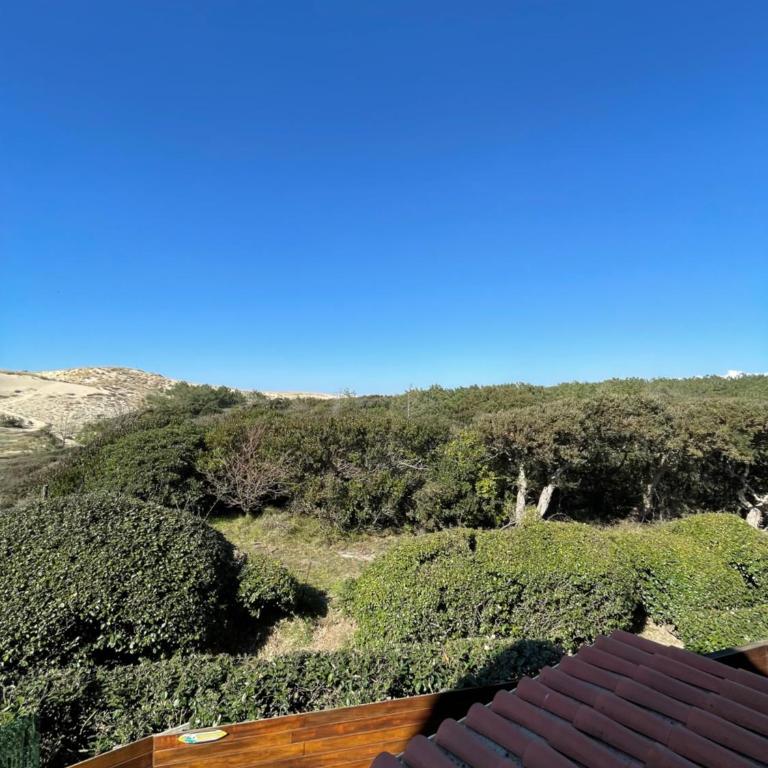 Réf 263, Seignosse océan, Villa Patio classée 3 étoiles avec Wifi à 150m de la plage, en bordure de forêt avec place de parking et piscine commune - One-Bedroom Villa - 12