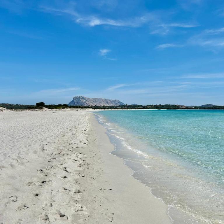 ISS Travel, Casa Smeraldo 10 beds, wonderful view of the gulf of San Teodoro - Appartamento con 4 Camere da Letto - 21