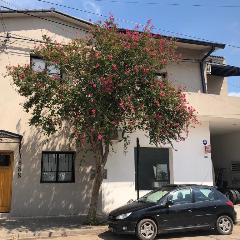 Departamento en Reconquista - Apartamento de 3 dormitorios - Planta Alta - 2