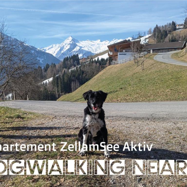 ZellamSee Aktiv - Apartment mit 2 Schlafzimmern - 18