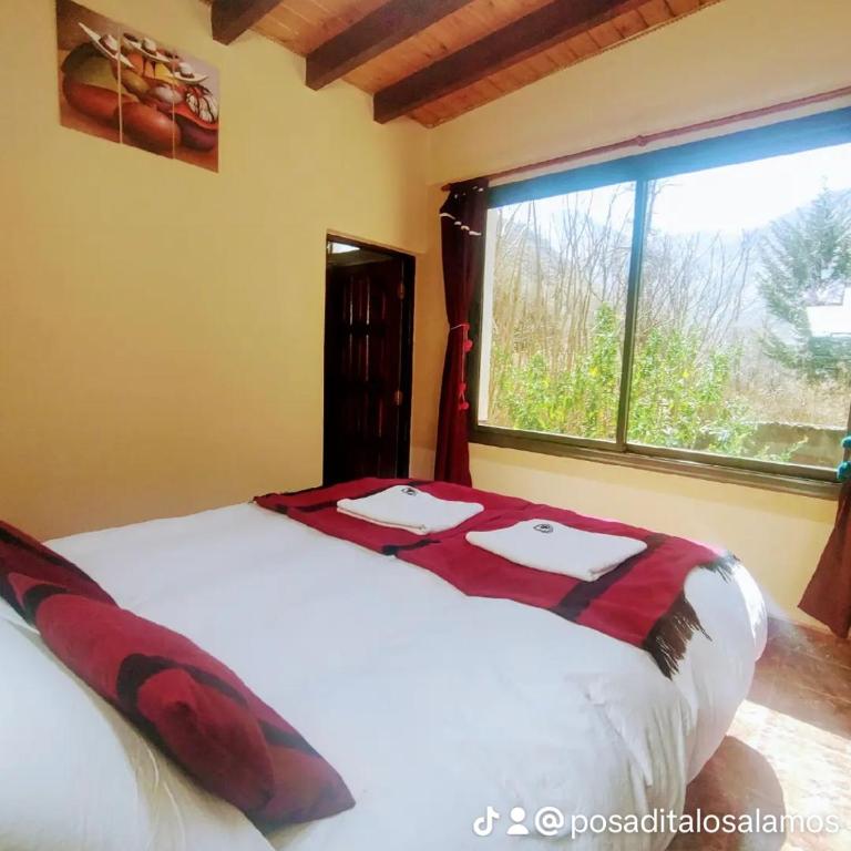 POSADITA LOS ALAMOS Alojamiento de montaña estamos en San Isidro a 8km pasando Iruya lea atentamente la descripción - Habitación Doble con vistas a la montaña - 2