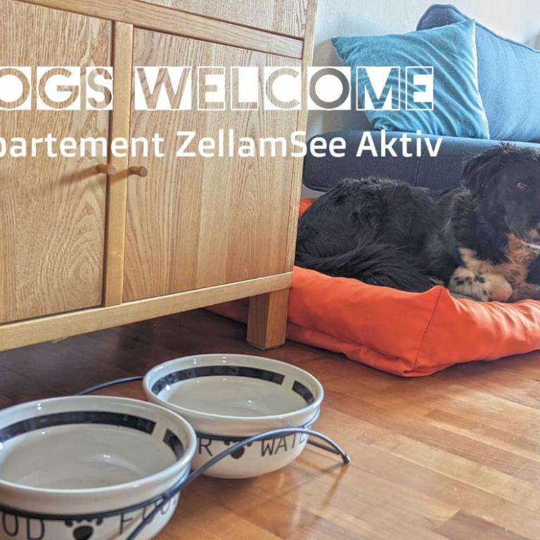 ZellamSee Aktiv - Apartment mit 2 Schlafzimmern - 14