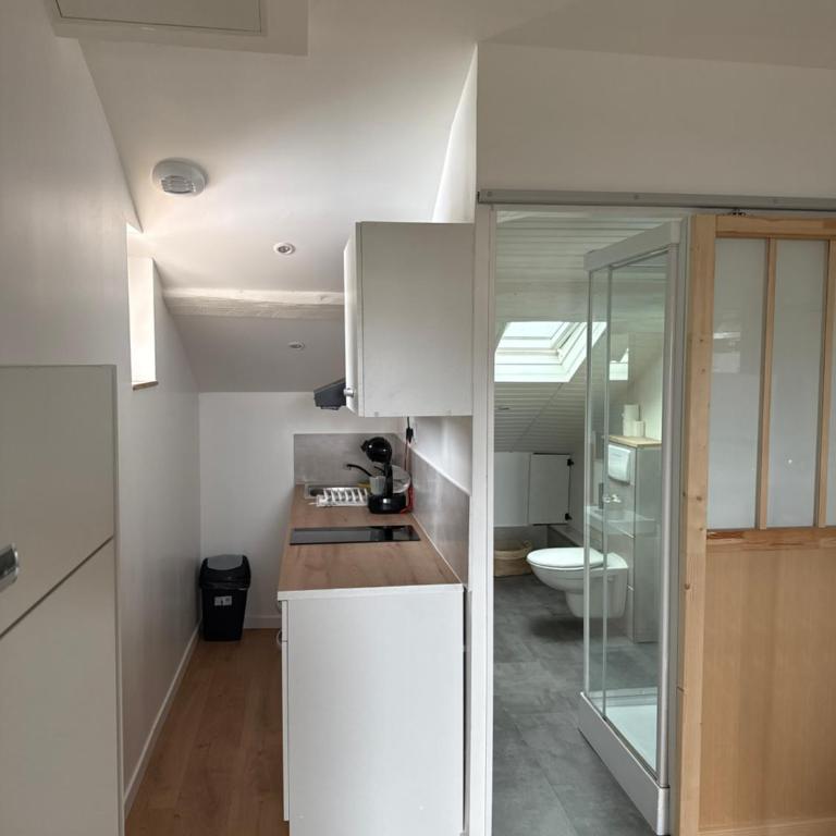 Studio secteur rives de meurthe - Appartement 1 Chambre - 7