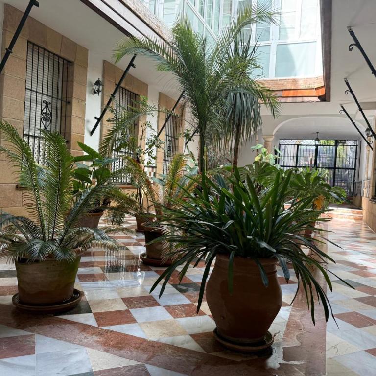 Apartamento Casa Palacio 1890. - Apartamento de 1 dormitorio - 42
