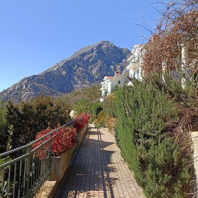 Green Village Spacious Apartment - Two-Bedroom Apartment - 39