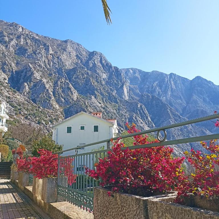 Green Village Spacious Apartment - Two-Bedroom Apartment - 21