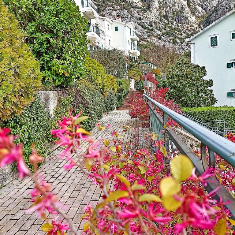 Green Village Spacious Apartment - Two-Bedroom Apartment - 14