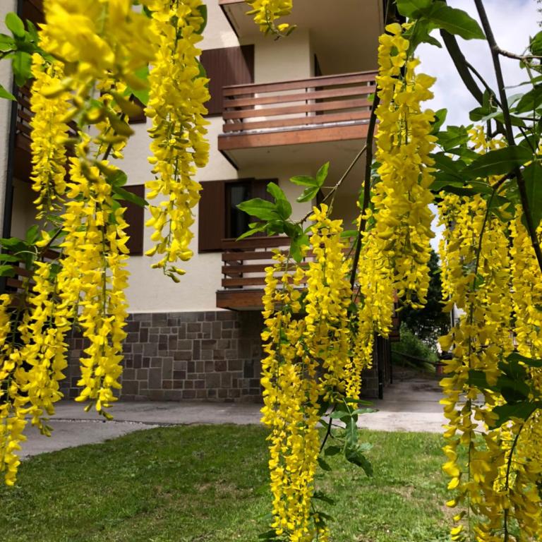 Il Cirmolo - Three-Bedroom Apartment - 14