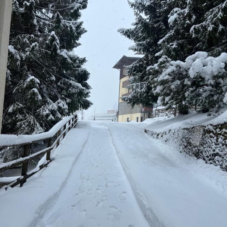 Il Cirmolo - Three-Bedroom Apartment - 19