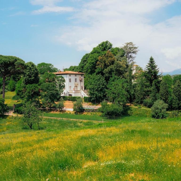 Villa Bianca charming Tuscany house with pool - Villa - 4