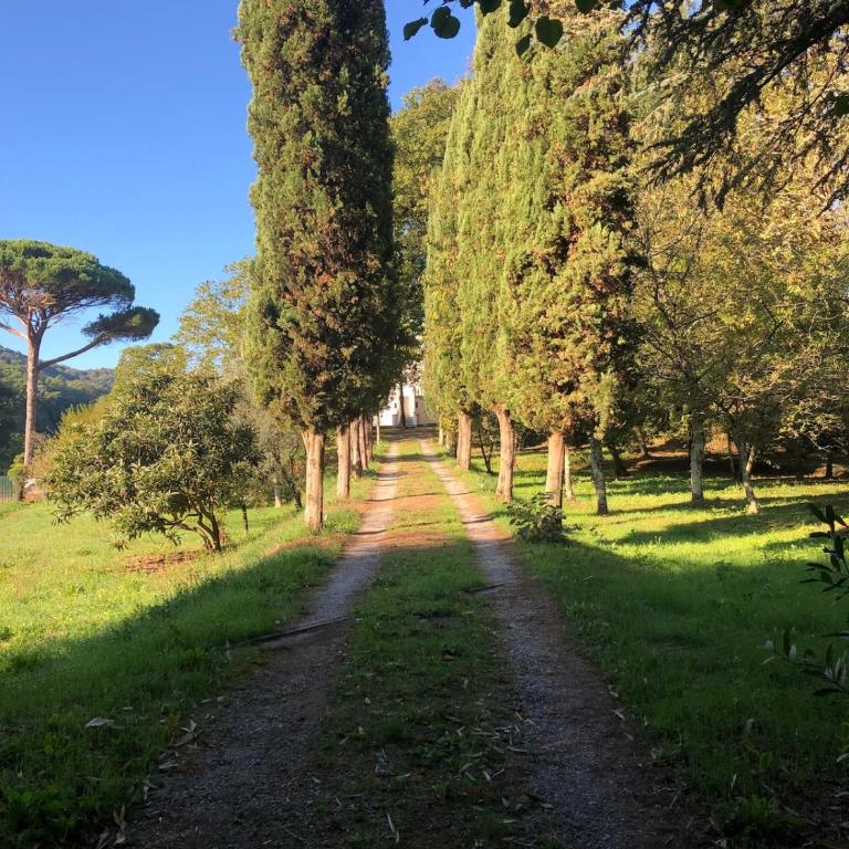 Villa Bianca charming Tuscany house with pool - Villa - 11