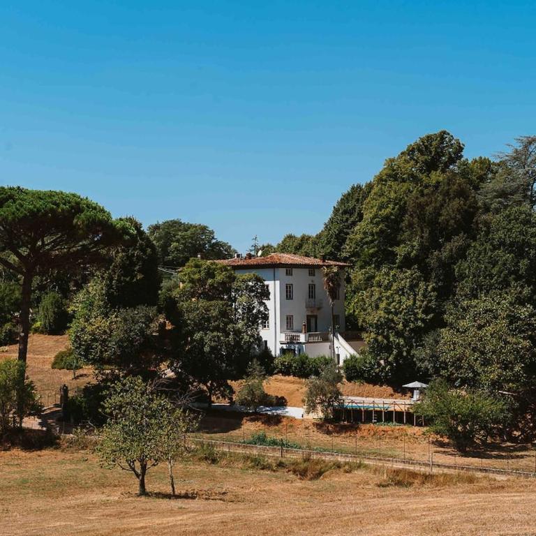 Villa Bianca charming Tuscany house with pool - Villa - 27