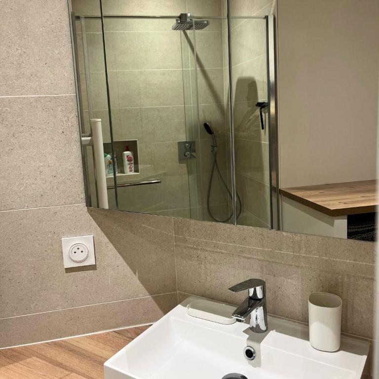 La Suite des Arènes - Appartement 1 Chambre - 6
