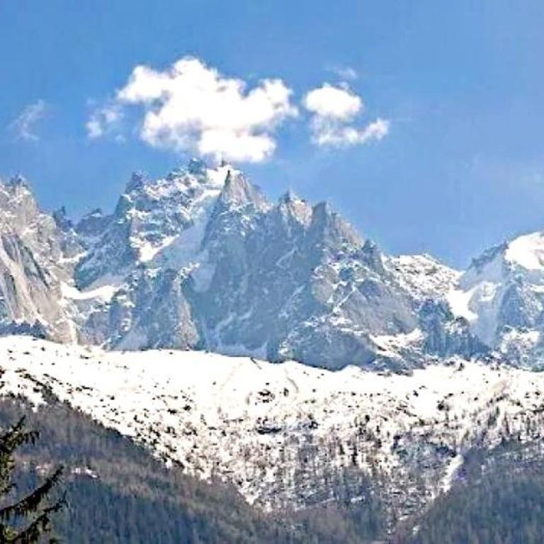 Chalet Foret Rouge - Villa 7 Chambres - 42