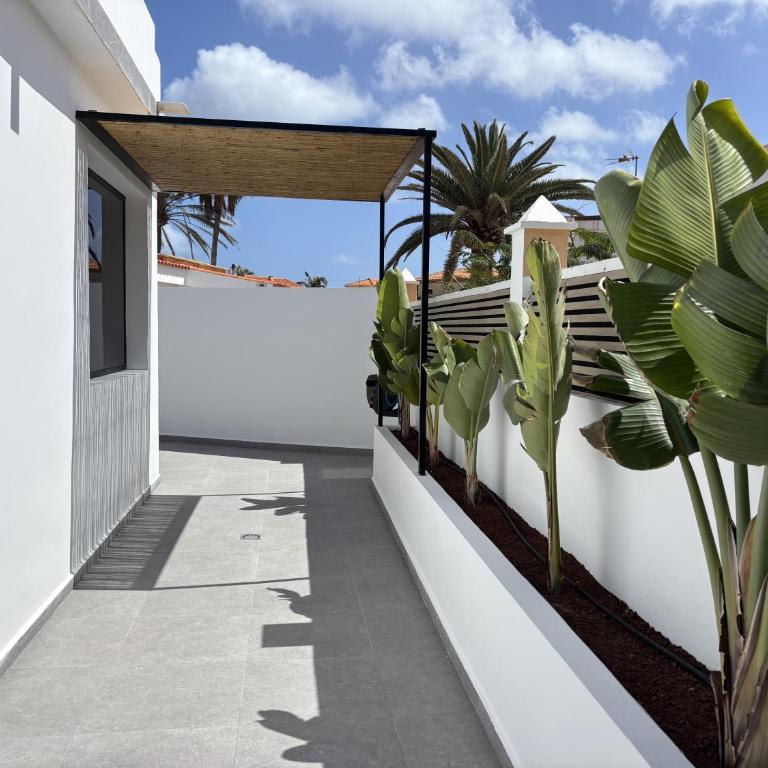 Encantadora Casa Marco céntrica y cerca de playa - Villa with Private Pool - 44