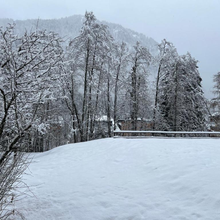 Il Cirmolo - Three-Bedroom Apartment - 16