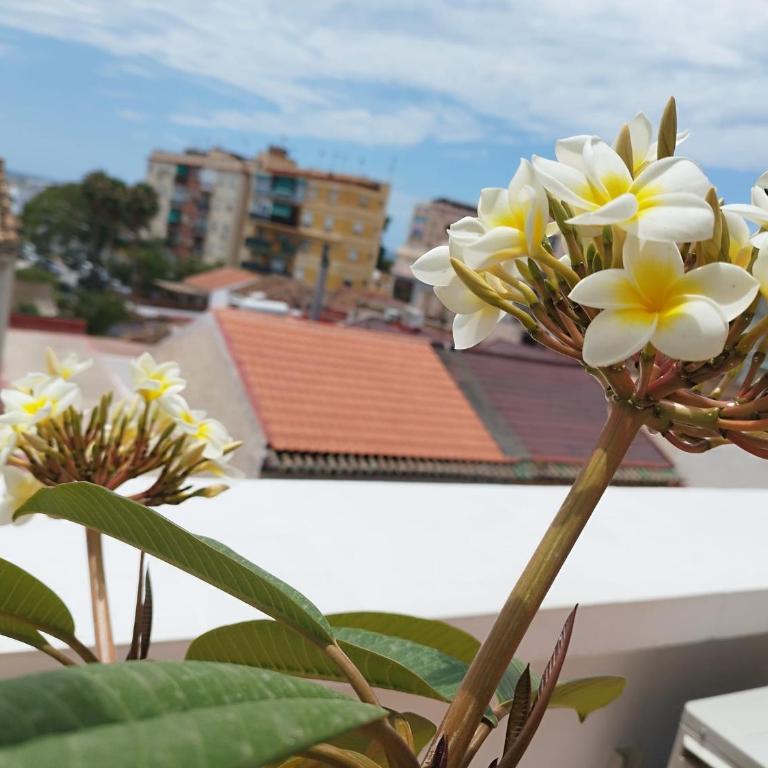 Apartamento Plumaria - Apartamento de 1 dormitorio - 27