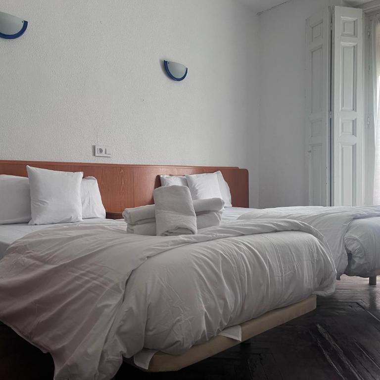 Hostal Alonso No Limit Madrid - Twin Room with View - 8