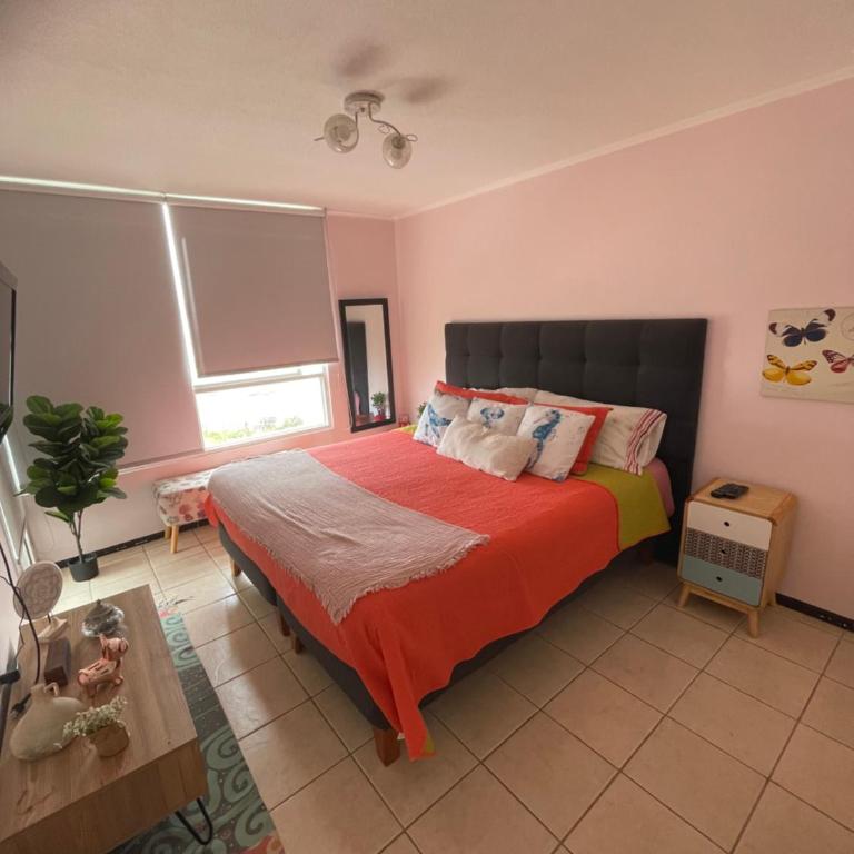 Disfruta de un buen descanso - One-Bedroom Apartment - 3