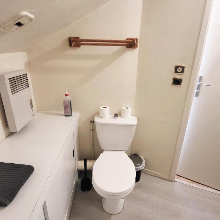 MAGELLAN Studio proche Loire et CHU - Appartement 1 Chambre - 8