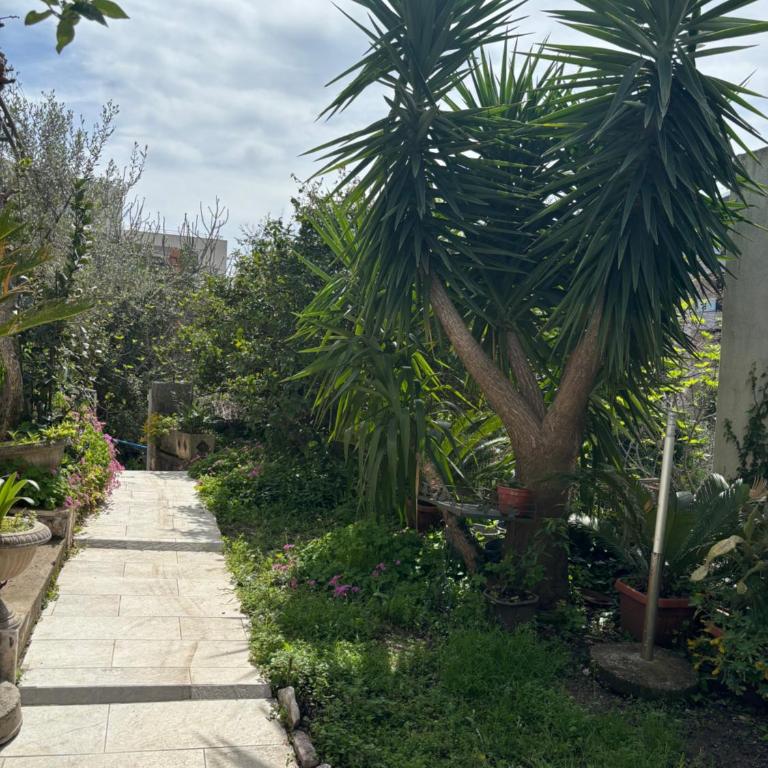 Galicia Hills - Apartman sa Pogledom na More - 18