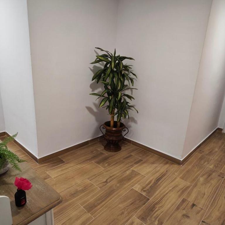 JEREZ CENTRO 5 DORMITORIOS TERRAZAS CON VISTAS ALCAZAR Y PLAZA ARENAL - Apartamento Deluxe - 23