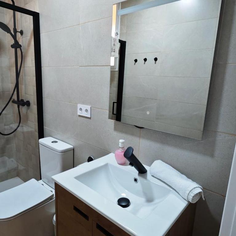 JEREZ CENTRO 5 DORMITORIOS TERRAZAS CON VISTAS ALCAZAR Y PLAZA ARENAL - Apartamento Deluxe - 4