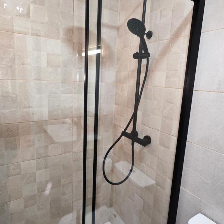 JEREZ CENTRO 5 DORMITORIOS TERRAZAS CON VISTAS ALCAZAR Y PLAZA ARENAL - Apartamento Deluxe - 51