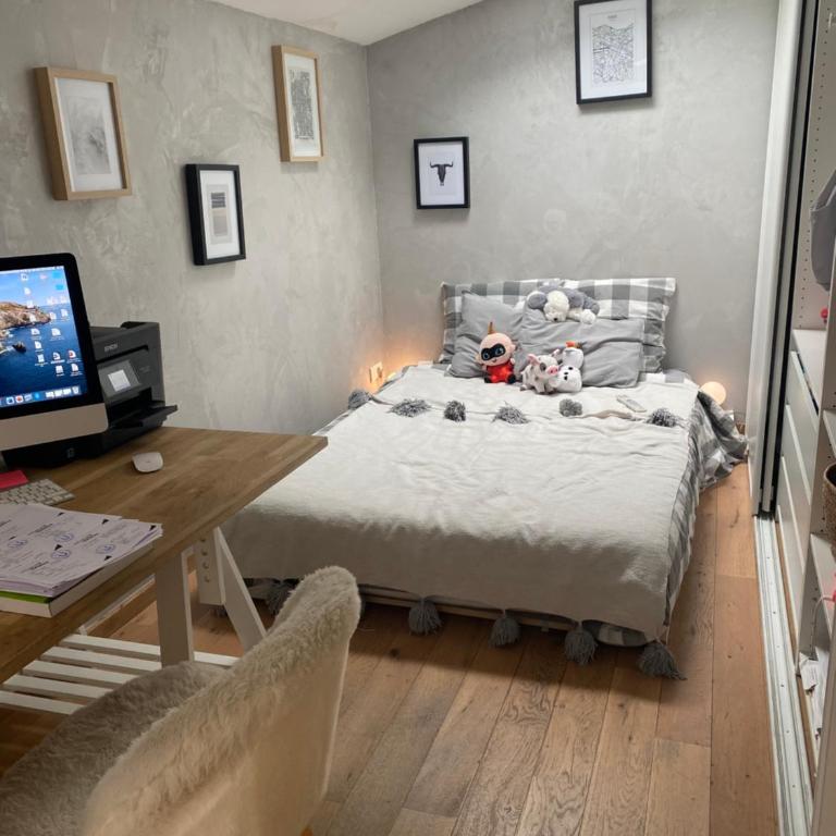 Maison Pierre avec Piscine - Villa avec Piscine Privée - 17