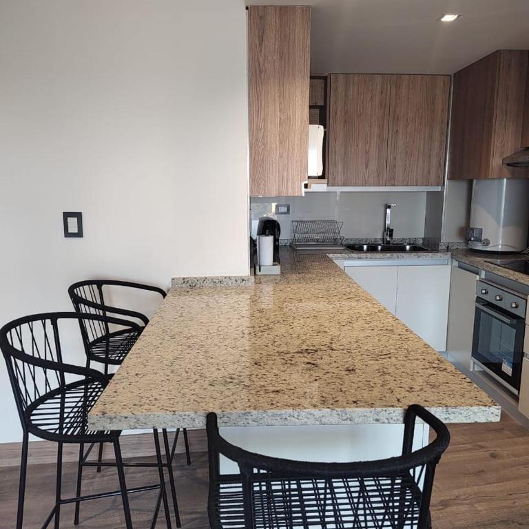 exclusivo departamento en Torre Leloir, Seguridad 24 HS cochera privada - Apartamento de 1 dormitorio - 3
