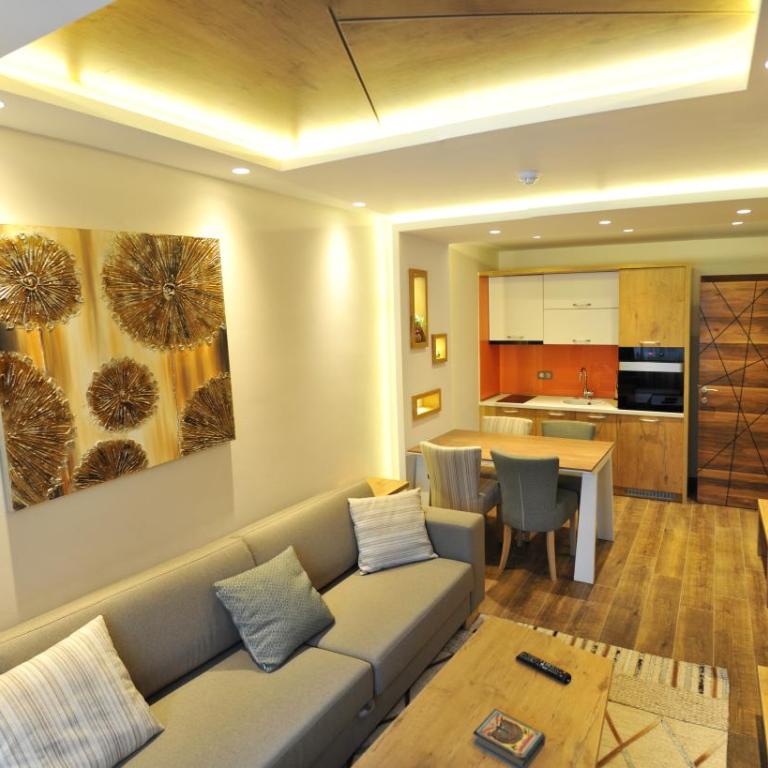 Pansion Winter - One-Bedroom Apartment - 1