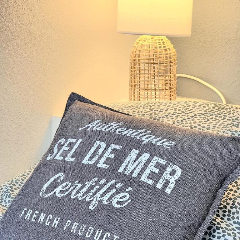 Les Petits Becs , joli T2 Vue mer, Wifi, Parking - Appartement 1 Chambre - Vue sur Mer - 11