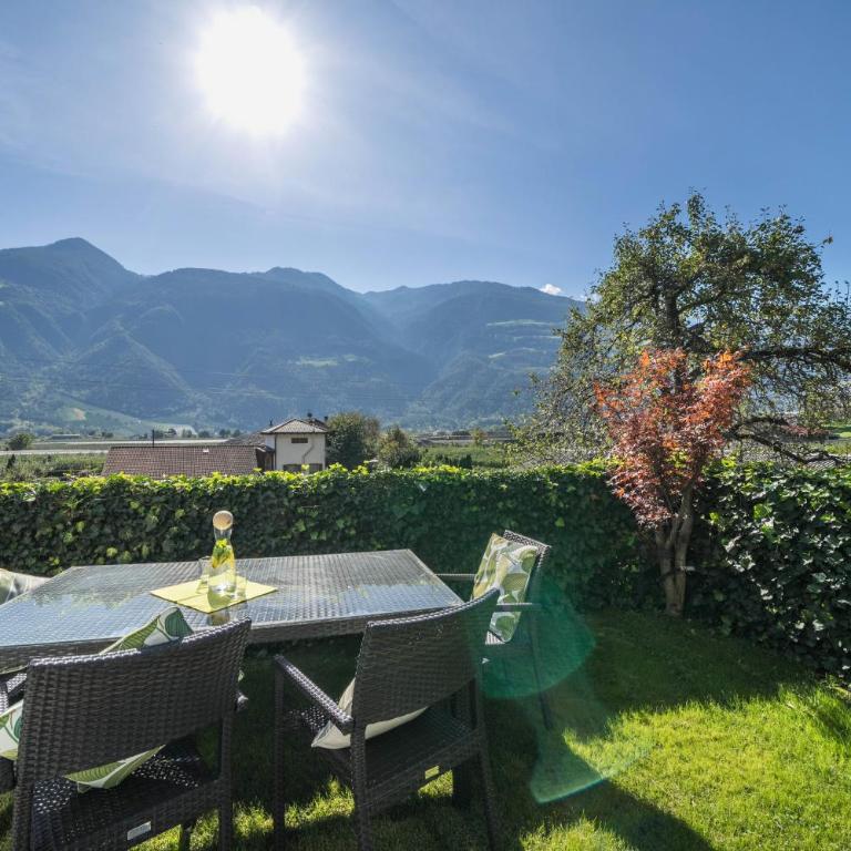 Weinreichhof - Appartamento con Terrazza - 14
