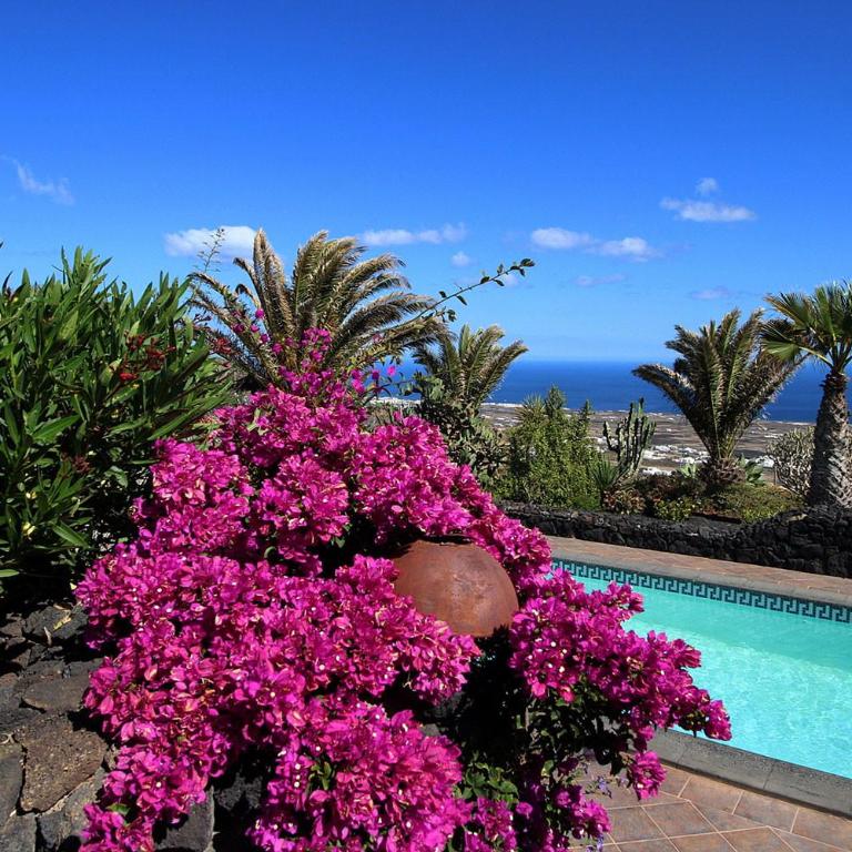 ROCO 2 - Terrasse mit Meerblick, Sauna, großer Pool, pure Entspannung - Casa de 2 dormitorios - 28