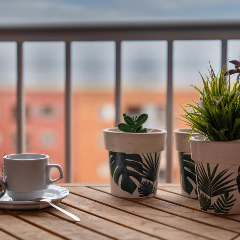 Erma Sun & Pool - Apartamento en Candelaria - Apartamento de 1 dormitorio - 17