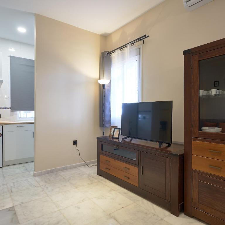 Apartamentos Tejares de Triana 16B - Apartamento Estándar de 1 dormitorio - 4